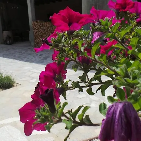فندق مبيت وإفطار Sotto La Vigna Charm Adults Only Vacation 4*
