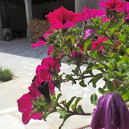Sotto La Vigna Charm Adults Only Vacation Montegrosso dʼAsti