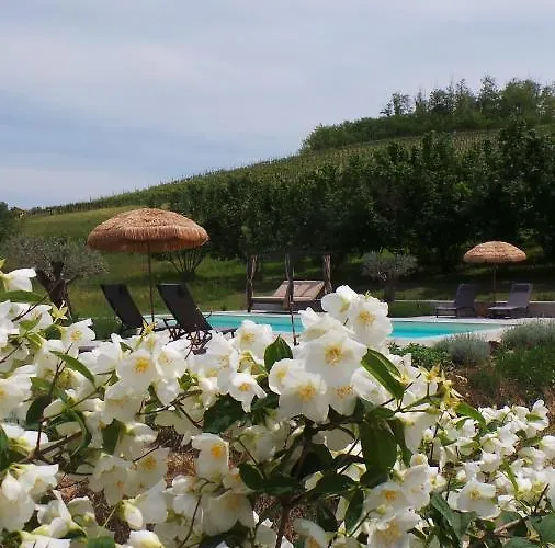 Sotto La Vigna Charm Adults Only Vacation