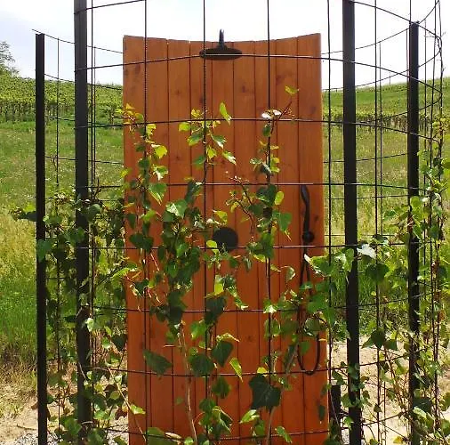 Panzió Sotto La Vigna Charm Adults Only Vacation Montegrosso dʼAsti